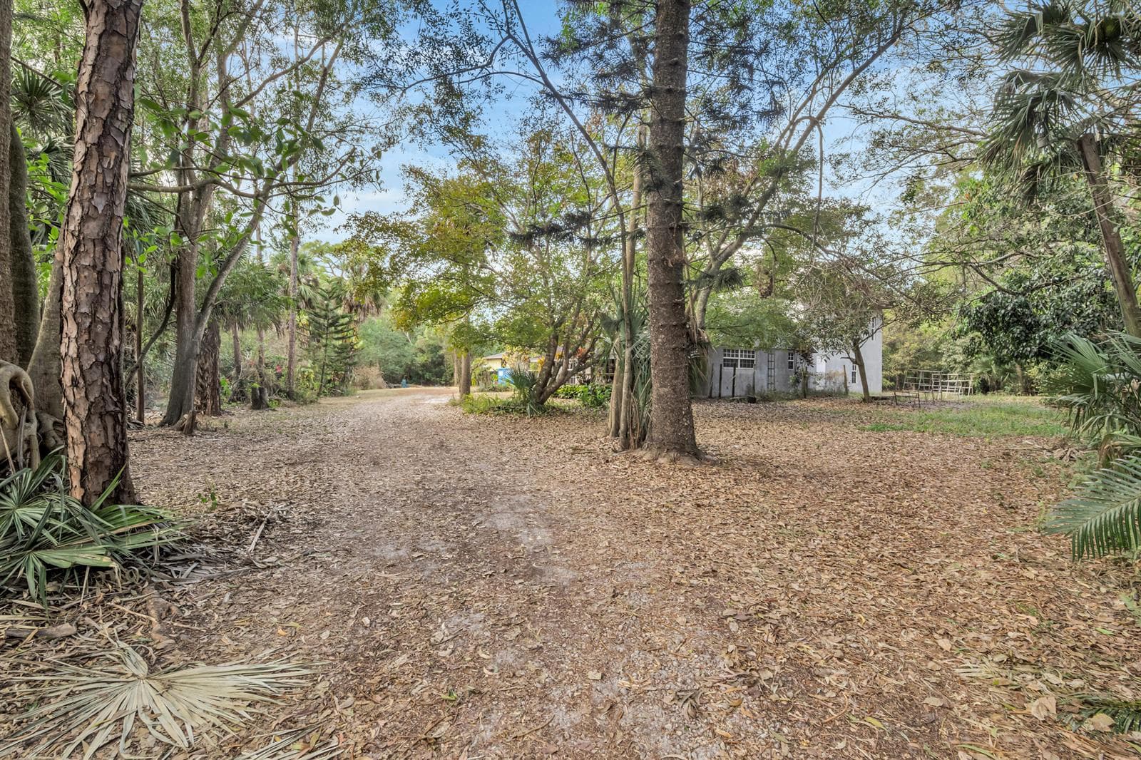 14181 35th Place N, FL 33470 photo 3