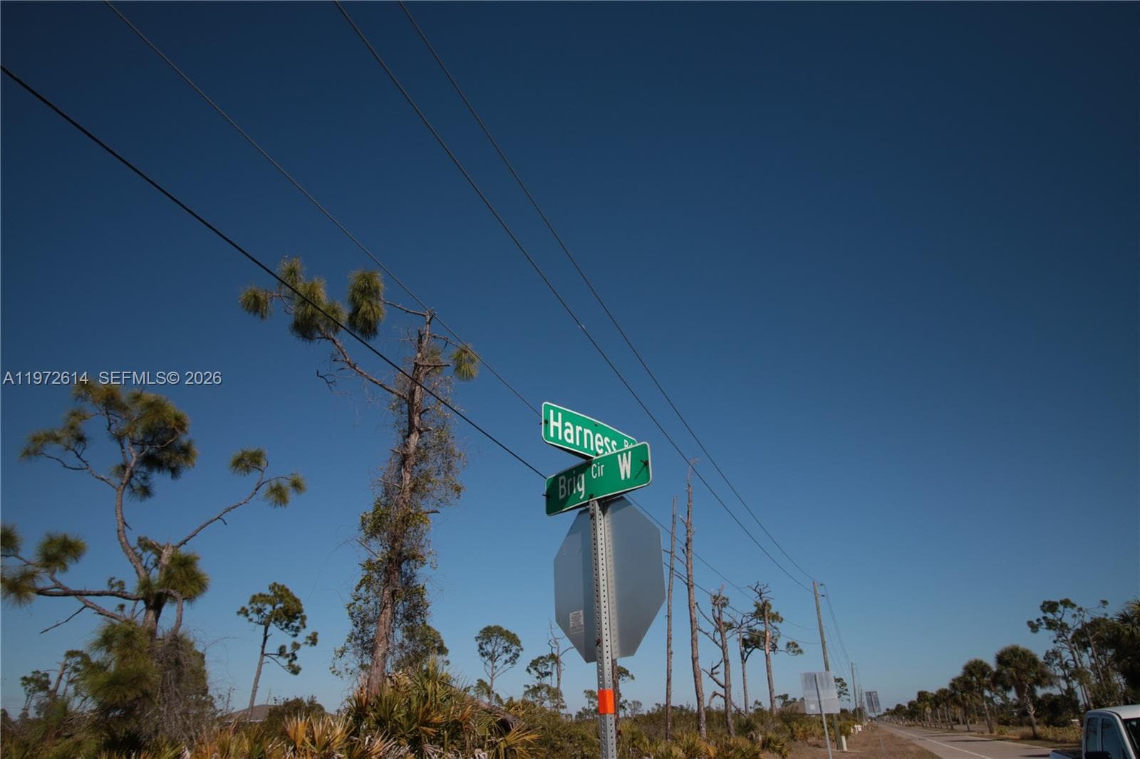 26 HARNESS, Other City - In The State Of Florida, FL 33946 photo 4