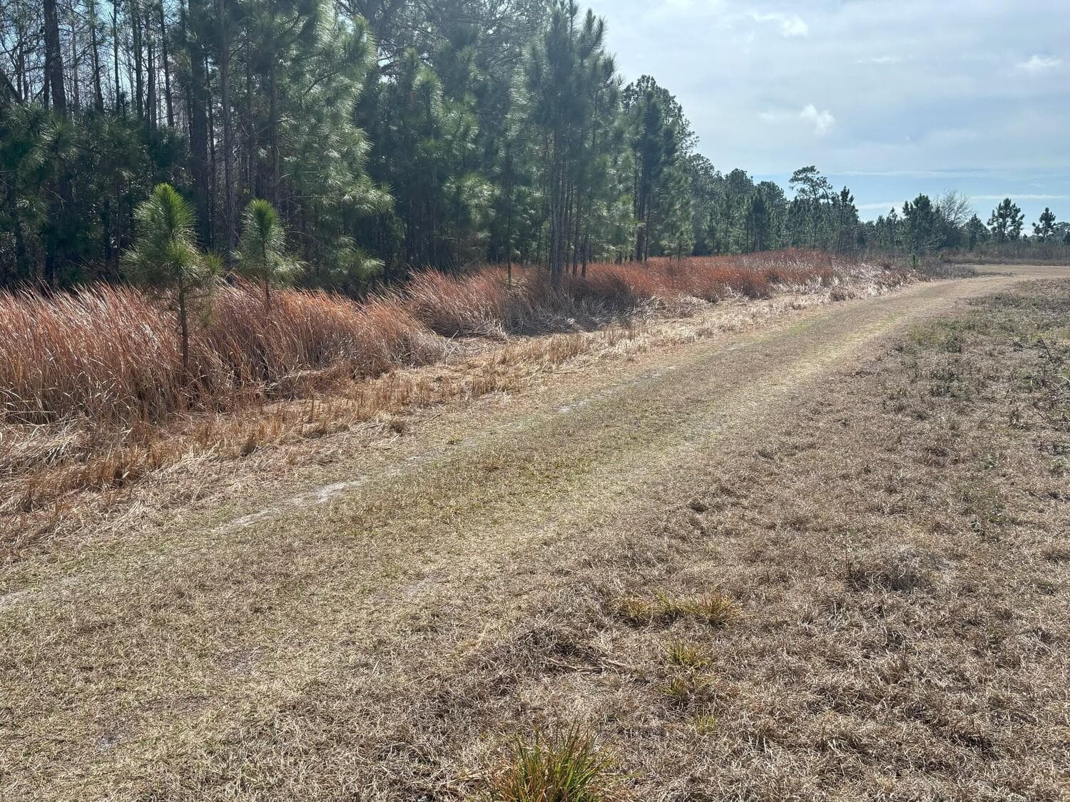 0 Old Grade Road, FL 33868 photo 4