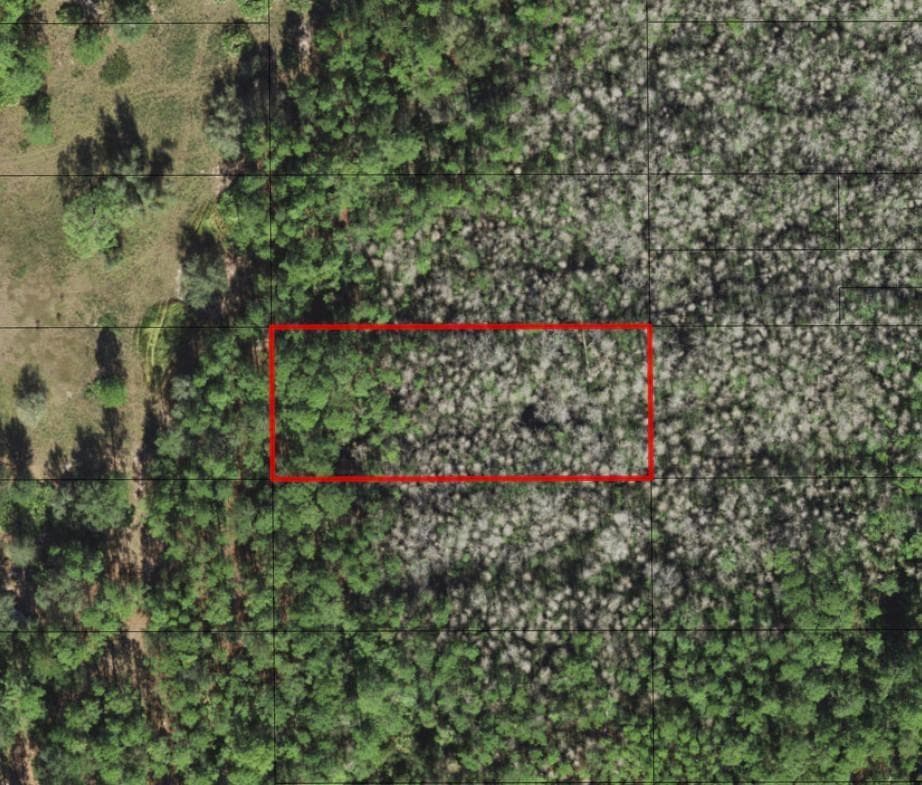 0 Old Grade Road, FL 33868 photo 2