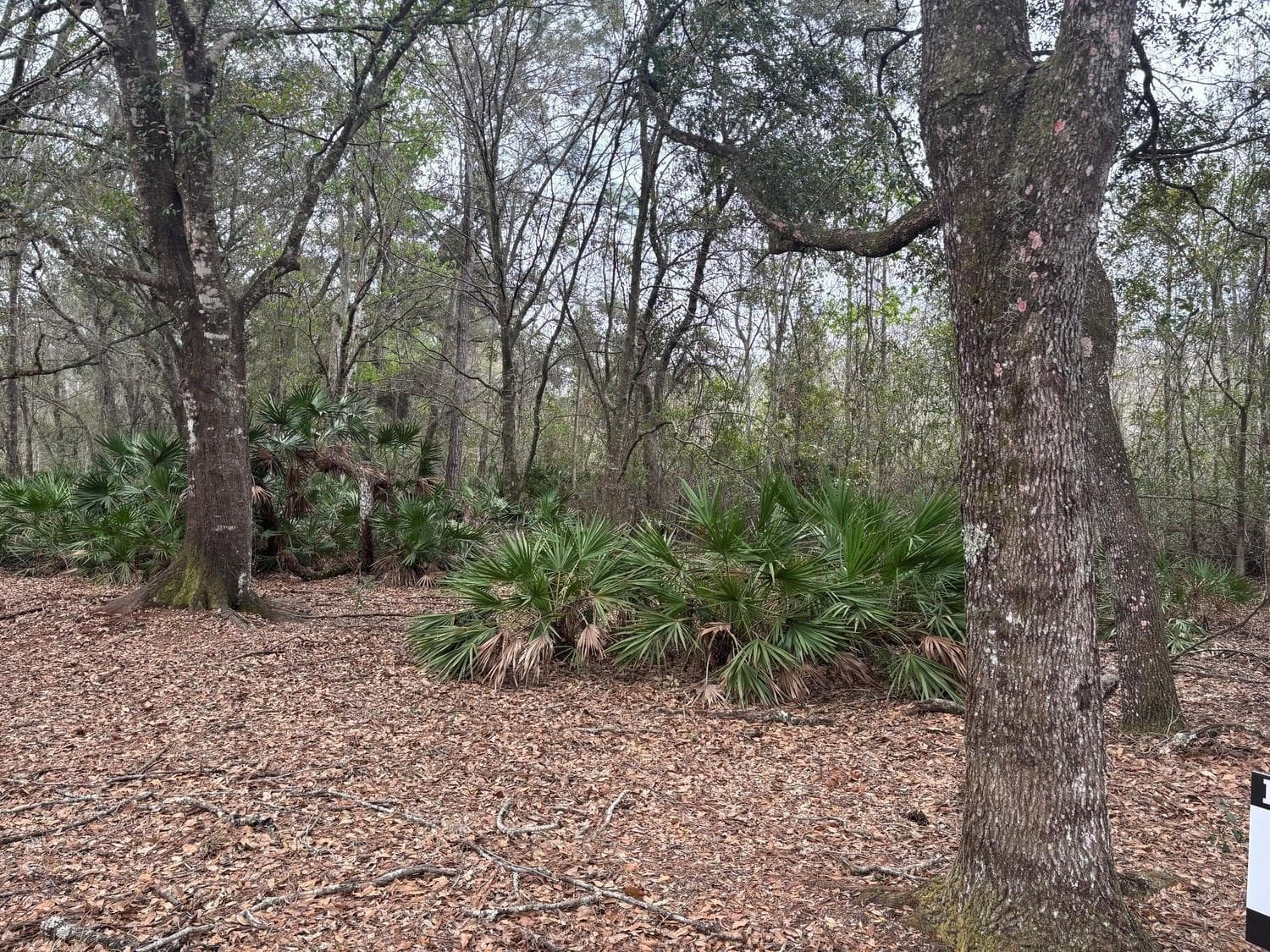 0 Old Grade Road, FL 33868 photo 2