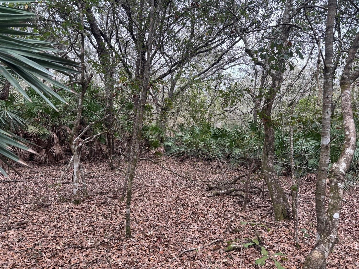 0 Old Grade Road, FL 33868 photo 2