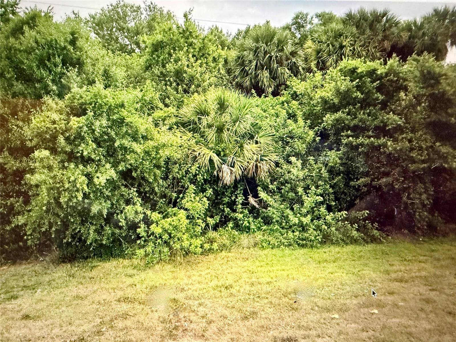 3712 N Hwy 98, Okeechobee, FL 34972 photo 2