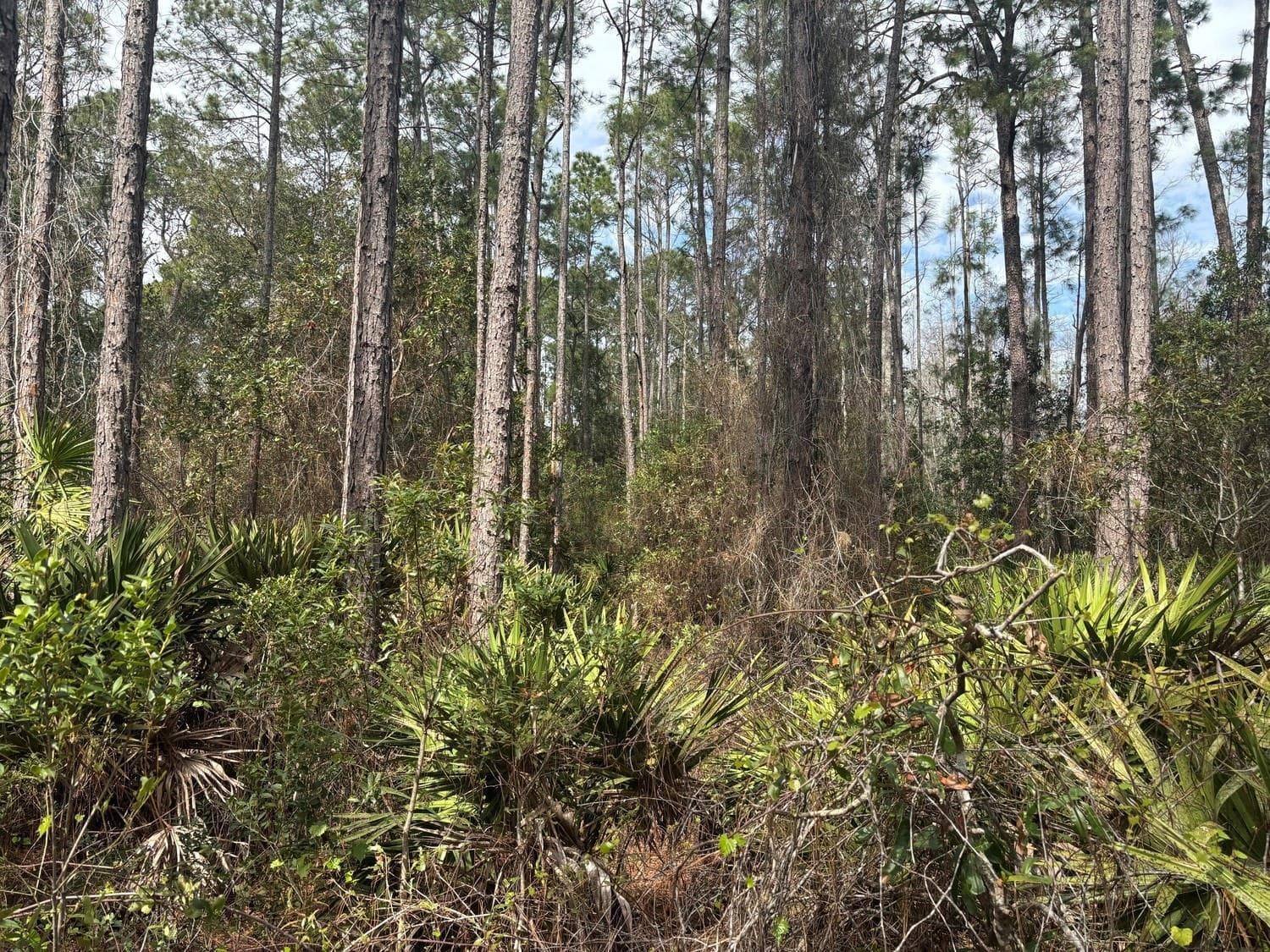 0 Old Grade Road, FL 33868 photo 2