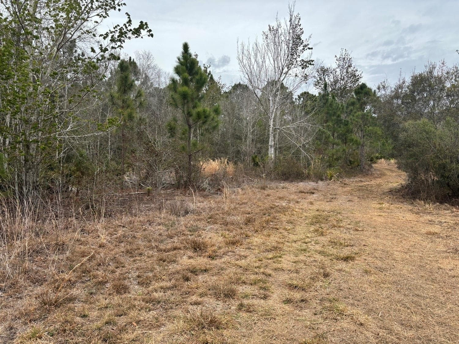 0 Old Grade Road, FL 33868 photo 3