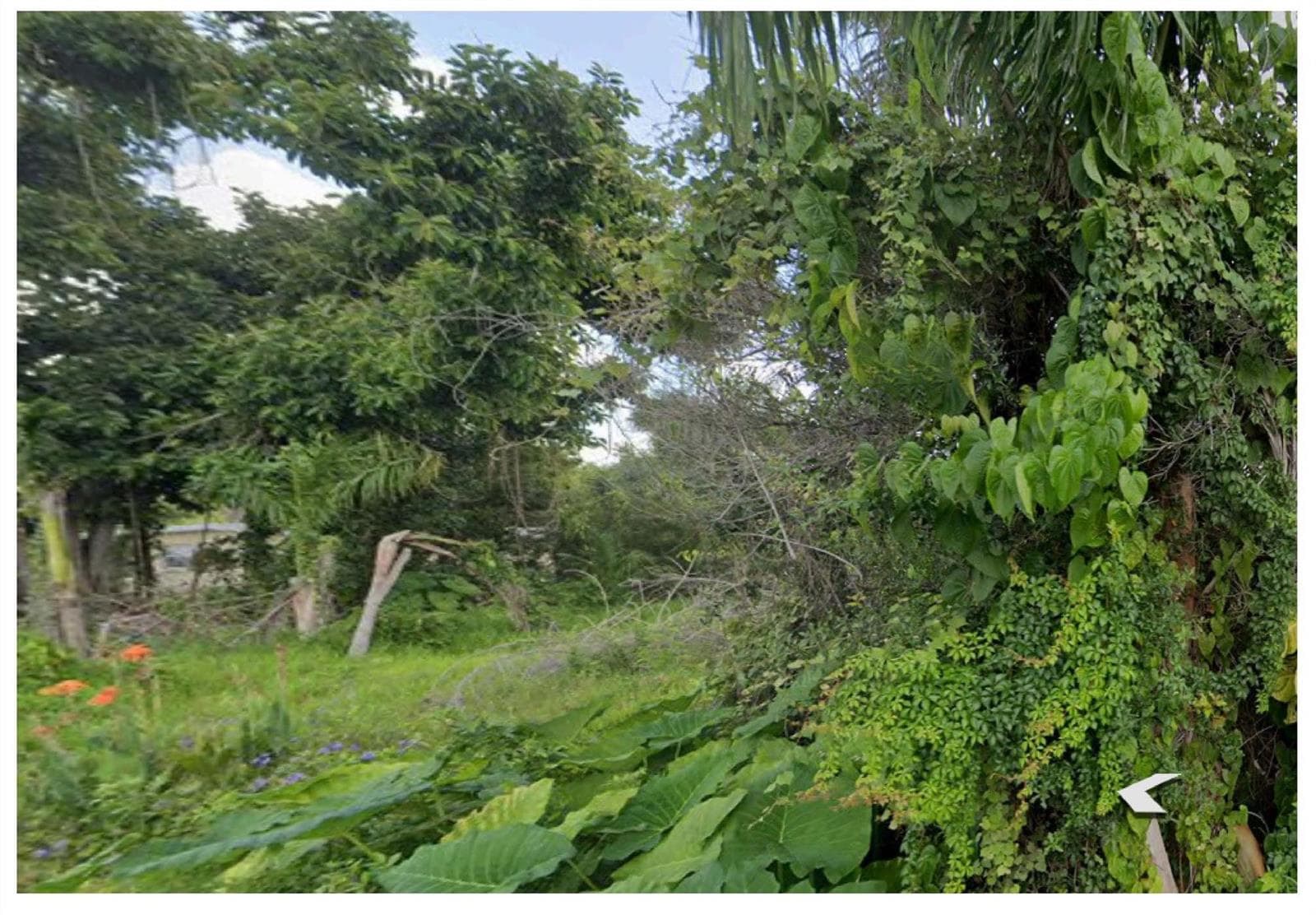1116 7th Way, FL 33903 photo 3