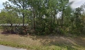 6182 N Buckland Dr, Citrus Springs, FL 34434