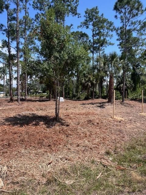 718 Columbus Avenue, Lehigh Acres, FL 33972 photo 2