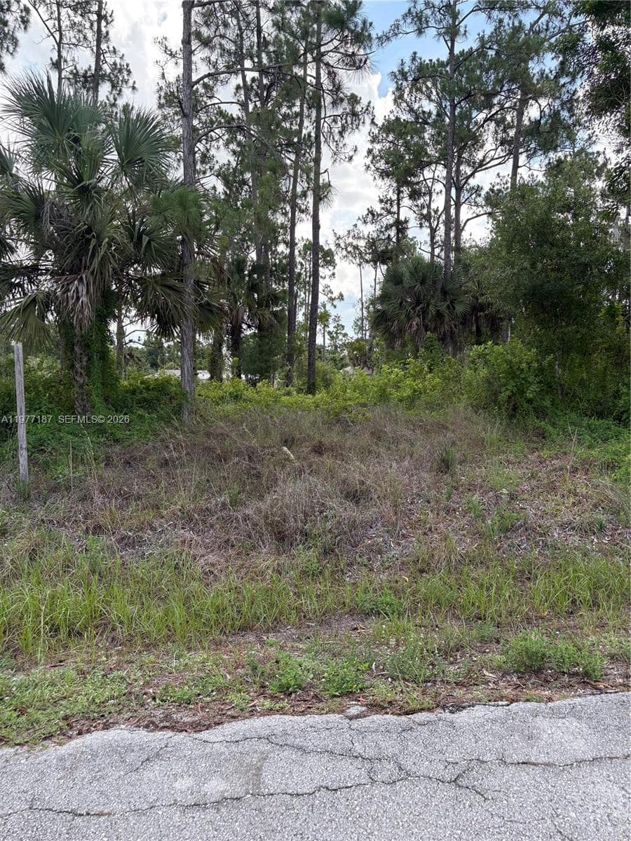 718 Columbus Avenue, Lehigh Acres, FL 33972 photo 5
