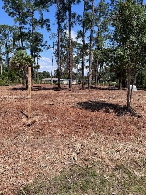 718 Columbus Avenue, Lehigh Acres, FL 33972 photo 4