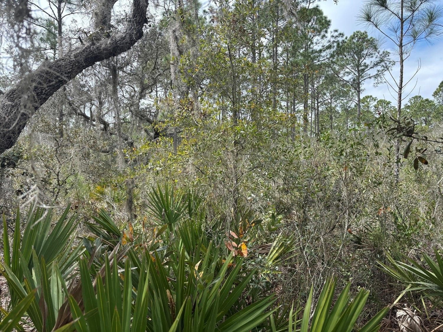0 Old Grade Road, FL 33868 photo 2