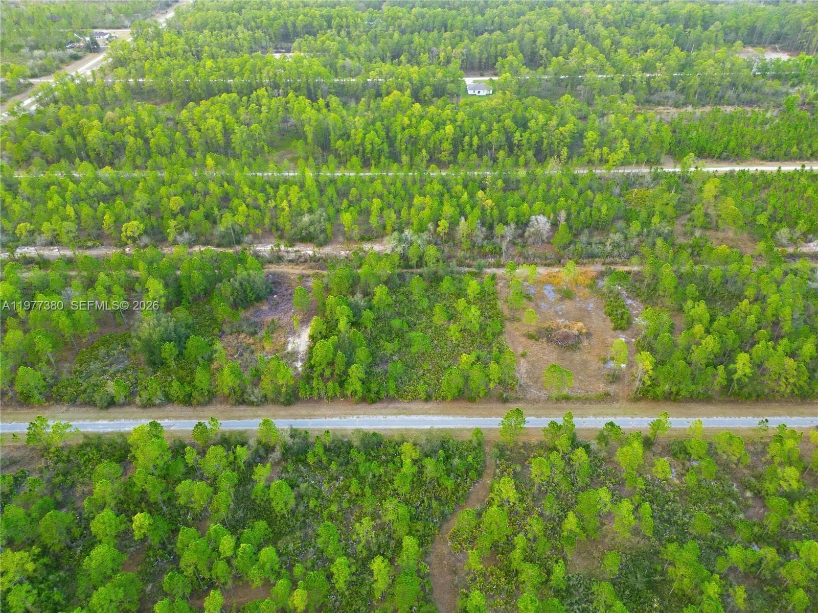 310 TROPICANA DR, Lake Wales, FL 33855 photo 2