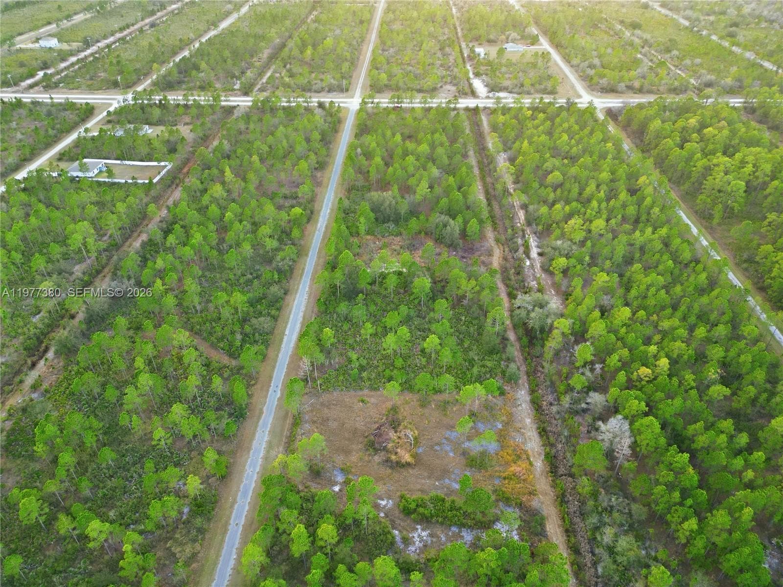 310 TROPICANA DR, Lake Wales, FL 33855 photo 3