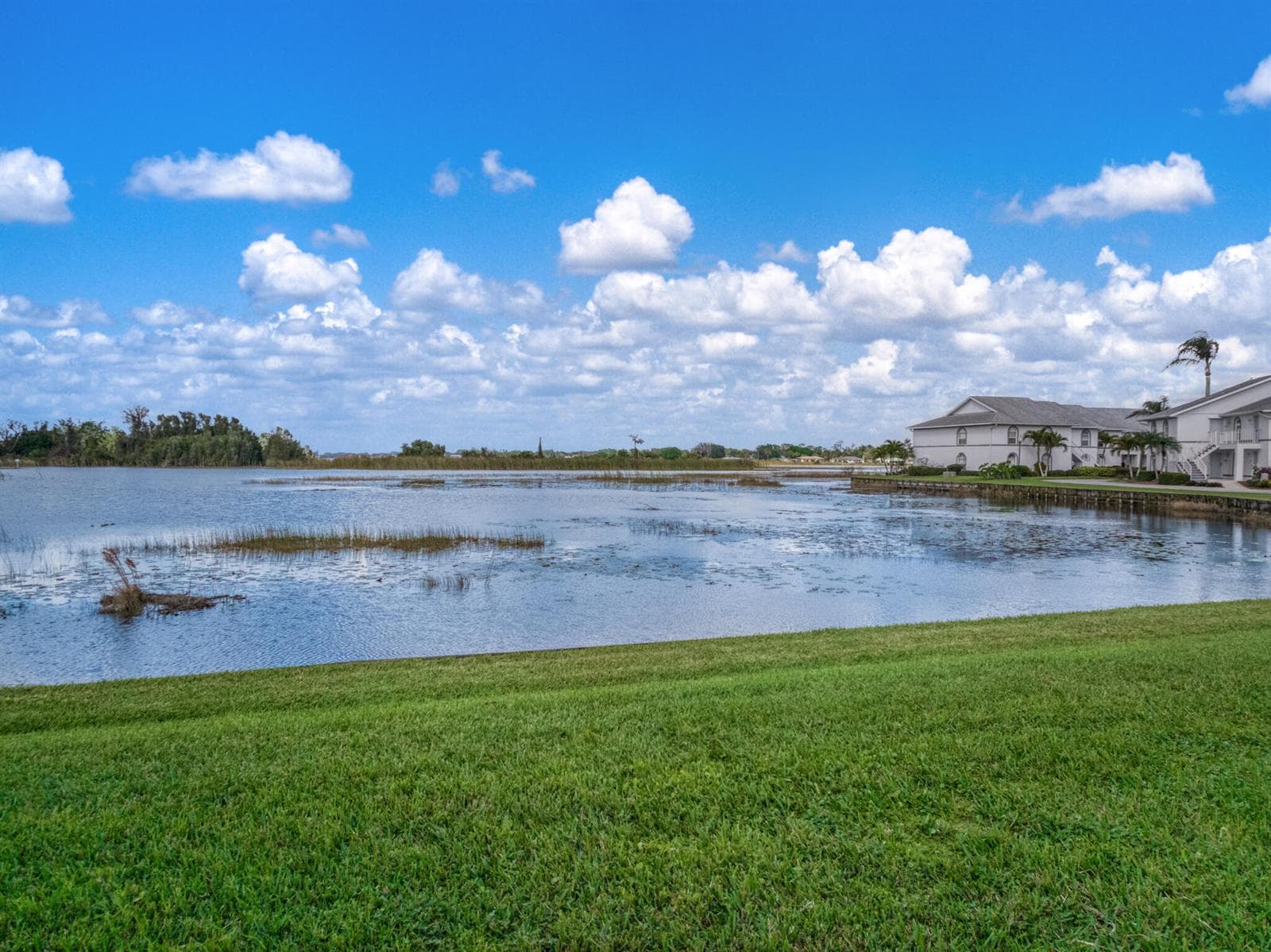 703 Chelsee Way, Lake Placid, FL 33852 photo 5