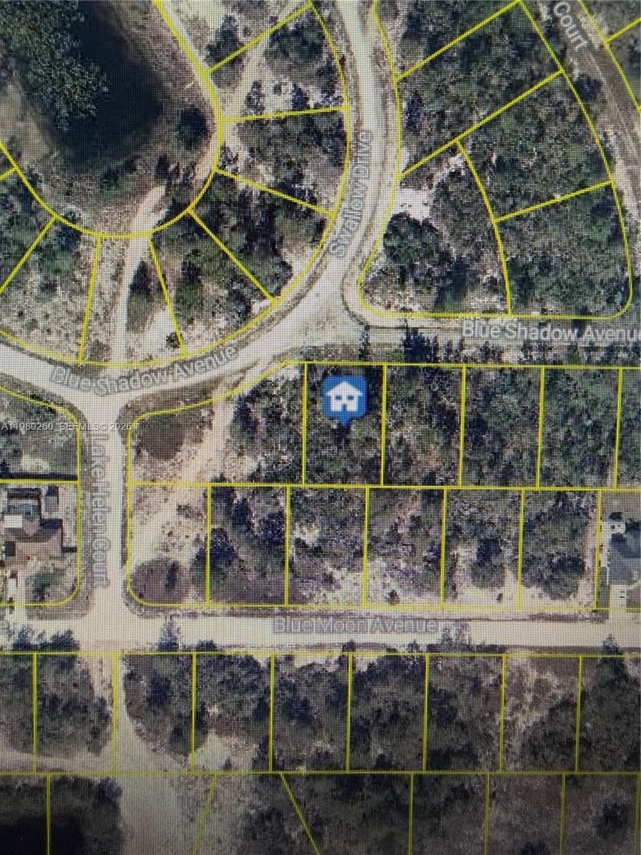 457 RUBA AVE, Lake Placid FL 33852