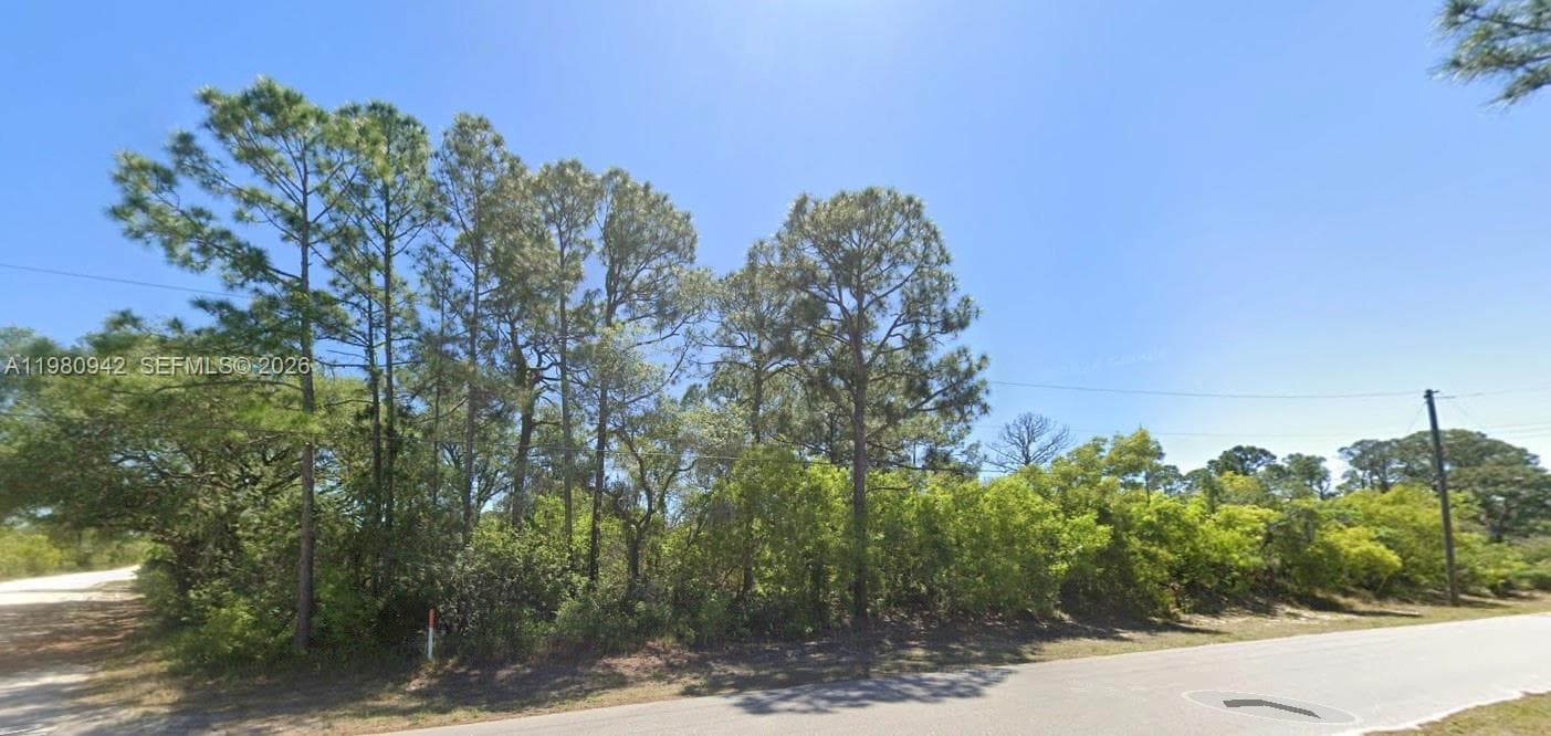 235 Deerwalk Ave, Lake Placid, FL 33852 photo 2