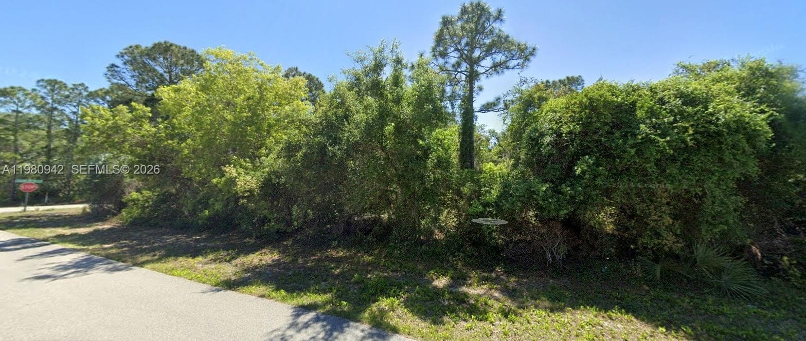 235 Deerwalk Ave, Lake Placid, FL 33852 photo 3