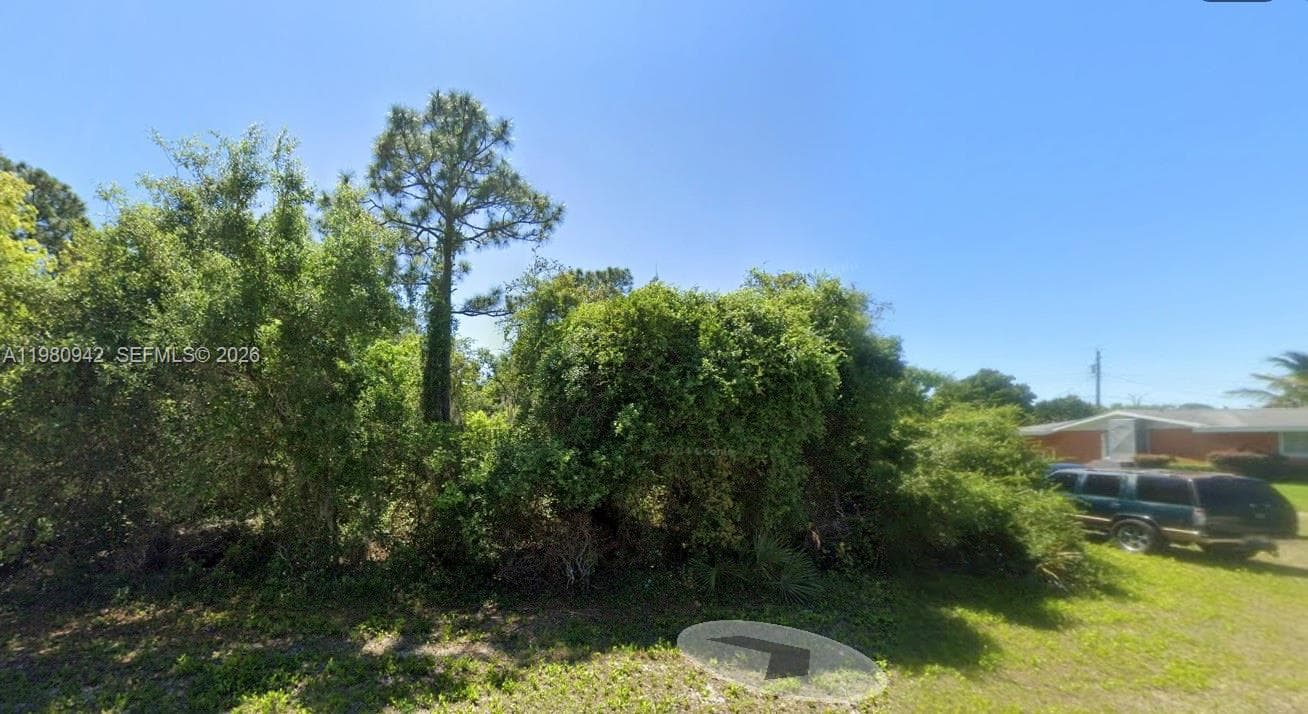 235 Deerwalk Ave, Lake Placid, FL 33852 photo 5
