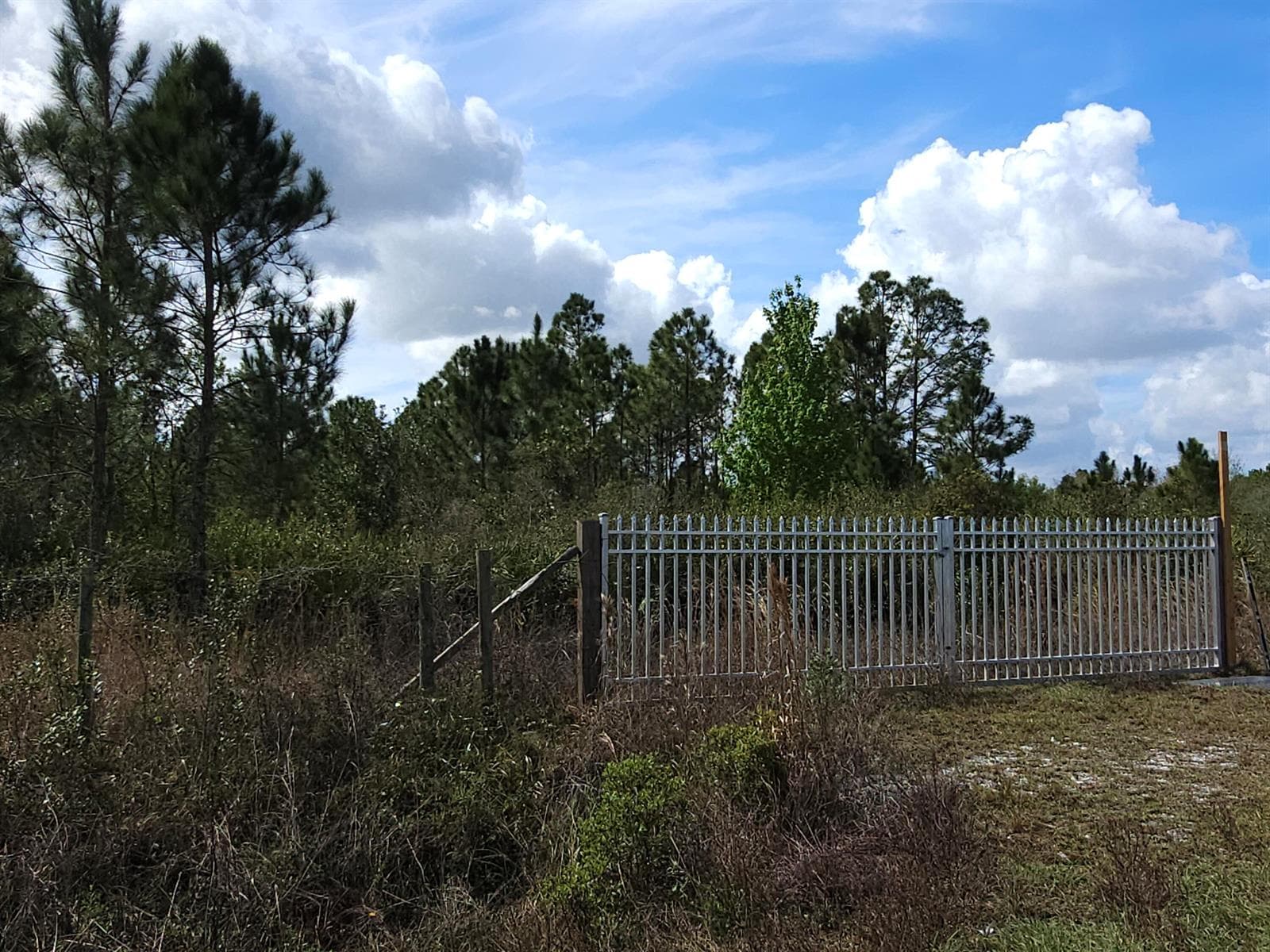 17720 NW 268th Street, Okeechobee, FL 34972 photo 3
