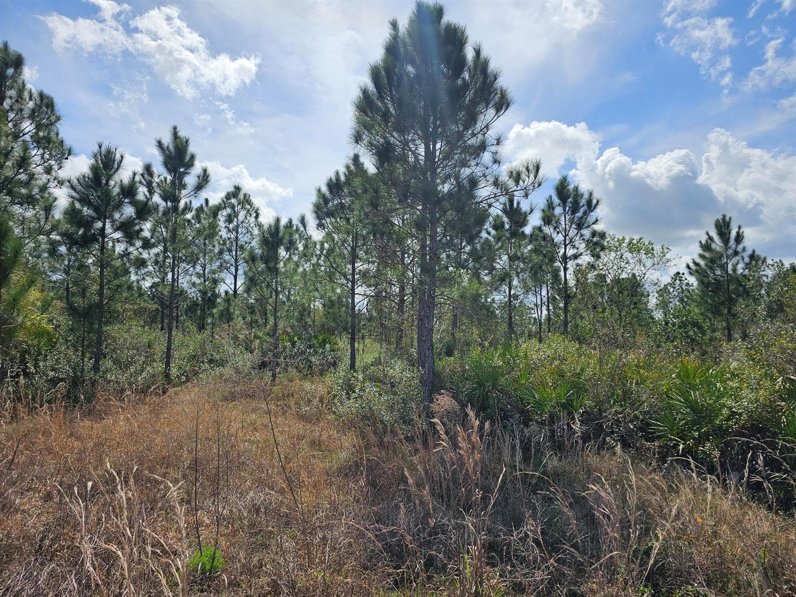 17720 NW 268th Street, Okeechobee, FL 34972 photo 5
