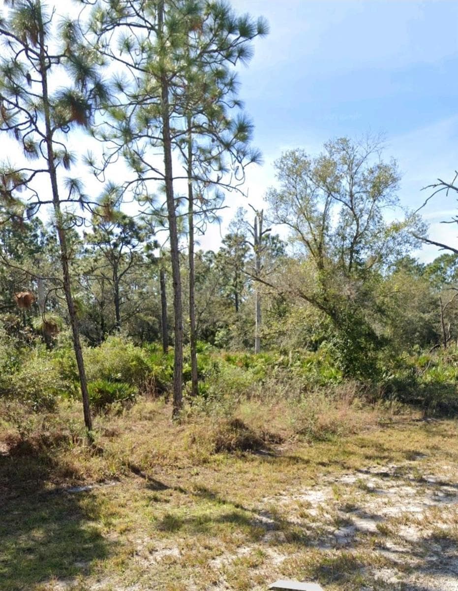 920 Gaillardia Drive, FL 33855 photo 3