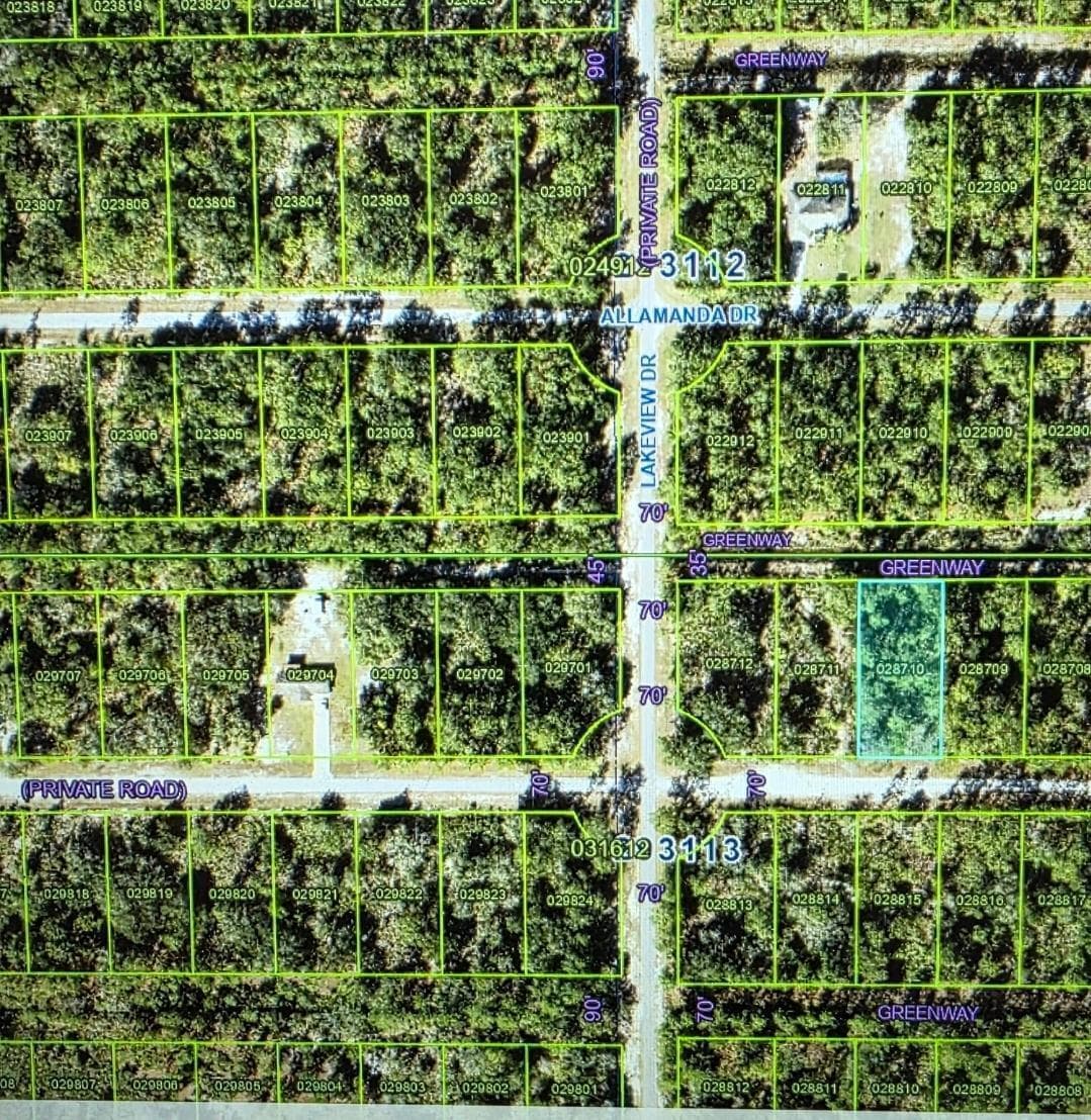 920 Gaillardia Drive, FL 33855 photo 5