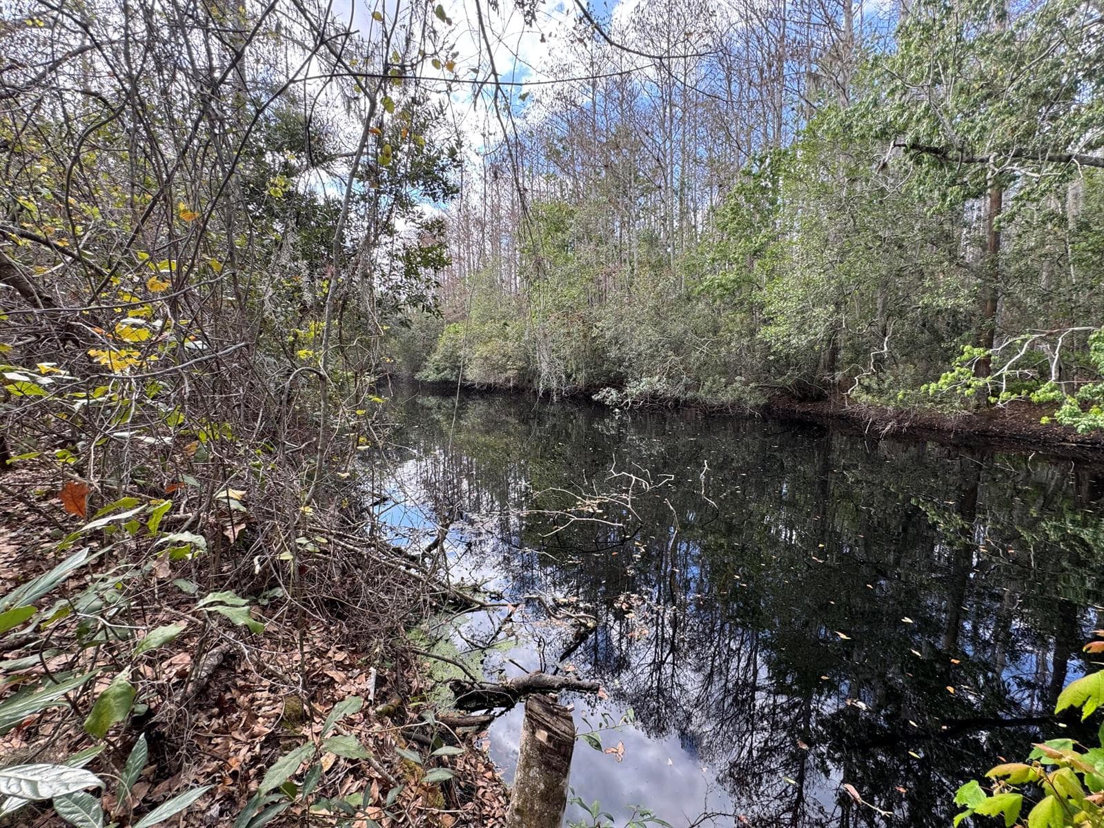 000 1st Street, FL 34739 photo 2