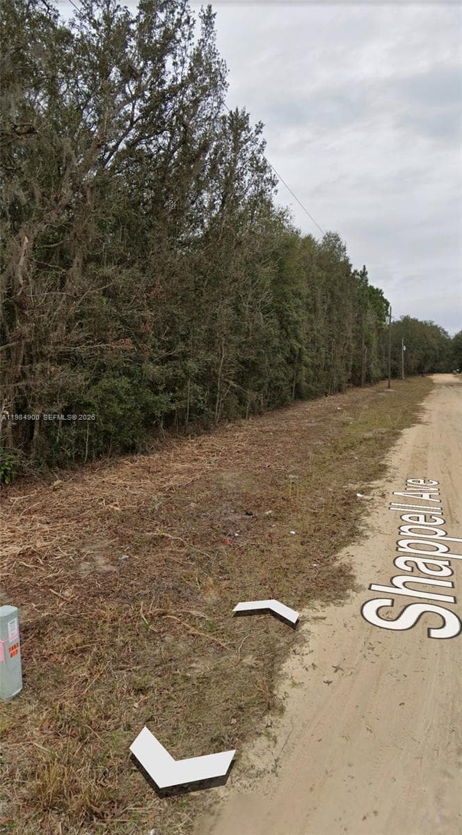 25 09 24 4076 1280 0140 Shappell Ave, Other City - In The State Of Florida, FL 32148 photo 4