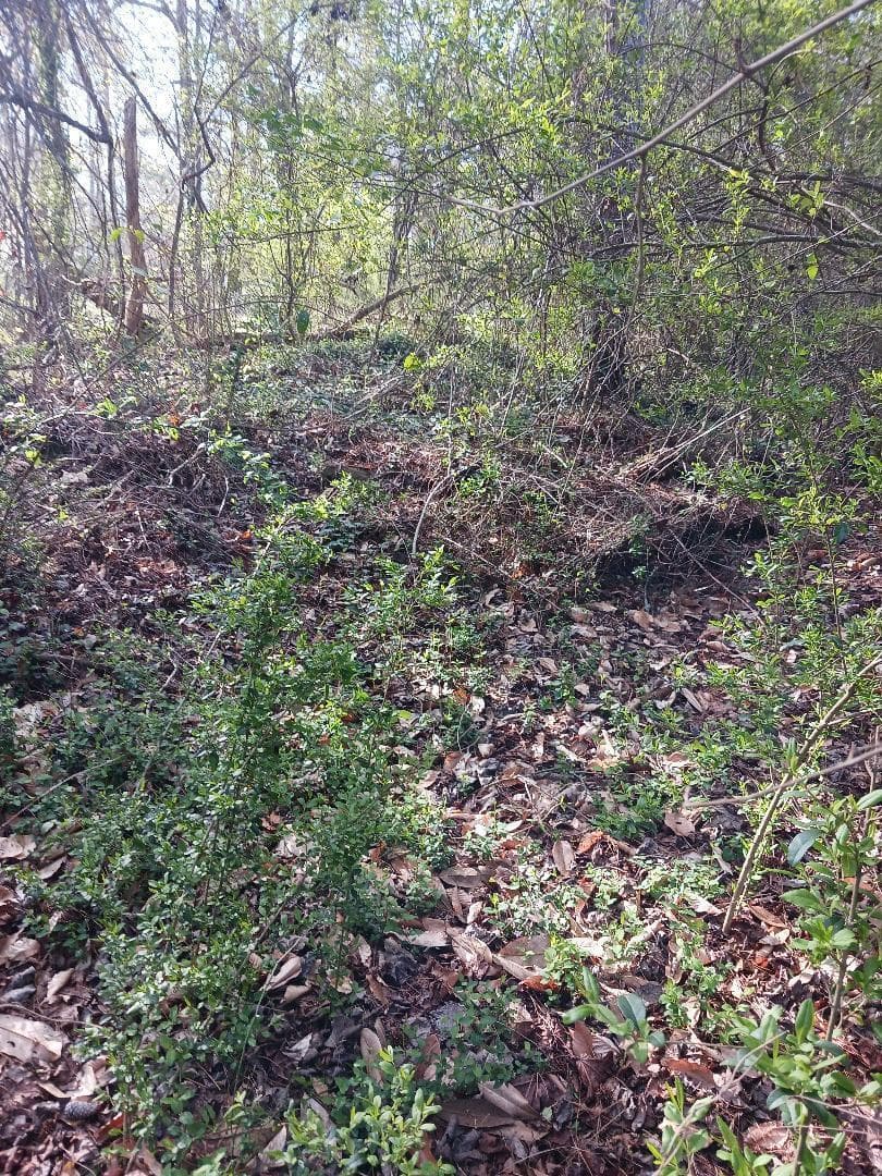 000 158 Lane, FL 32024