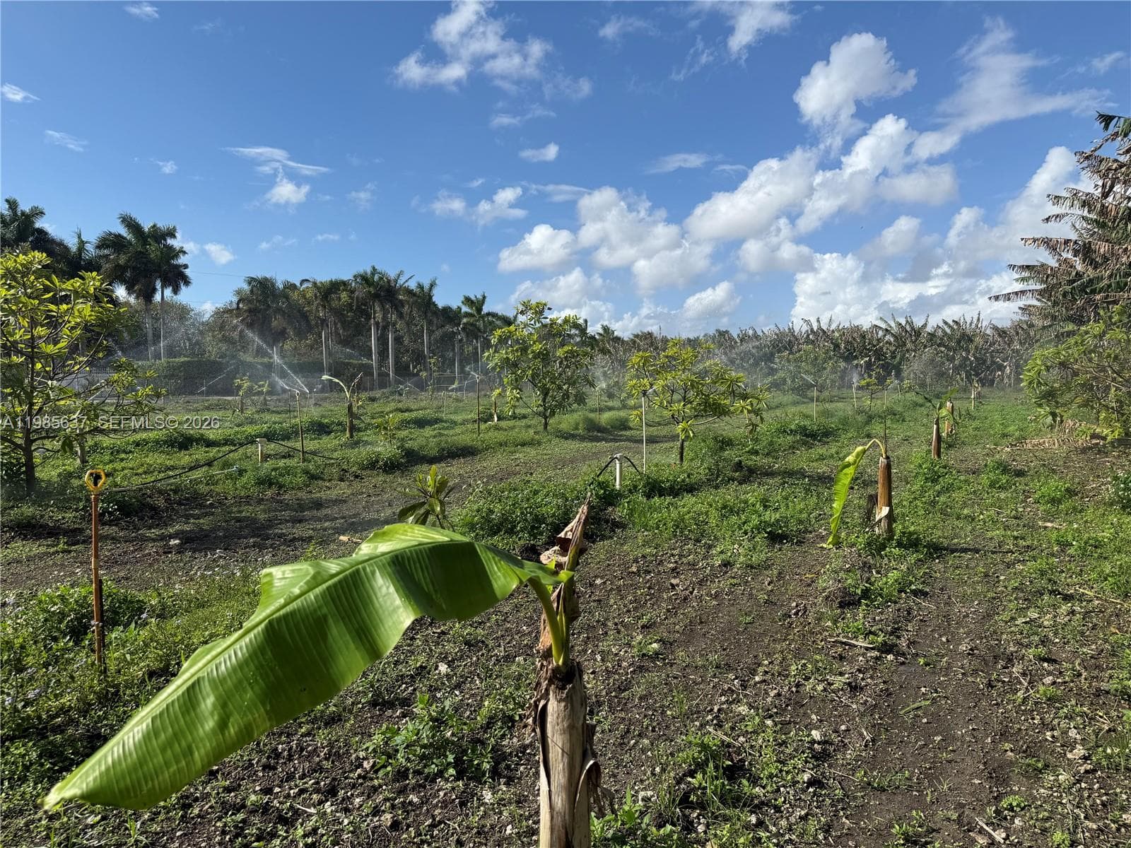 16455 SW 207, Homestead, FL 33187