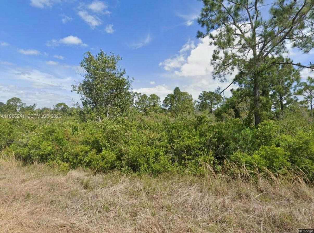 1081 BEAVER ST, Lake Placid, FL 33852