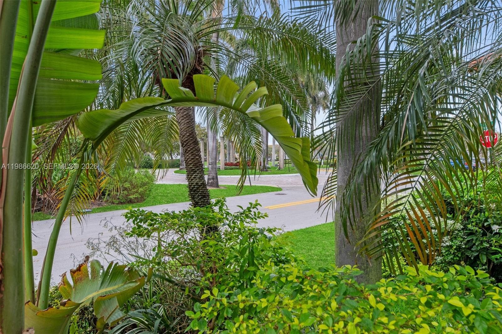 1104 Redwood St, Hollywood, FL 33019 photo 4