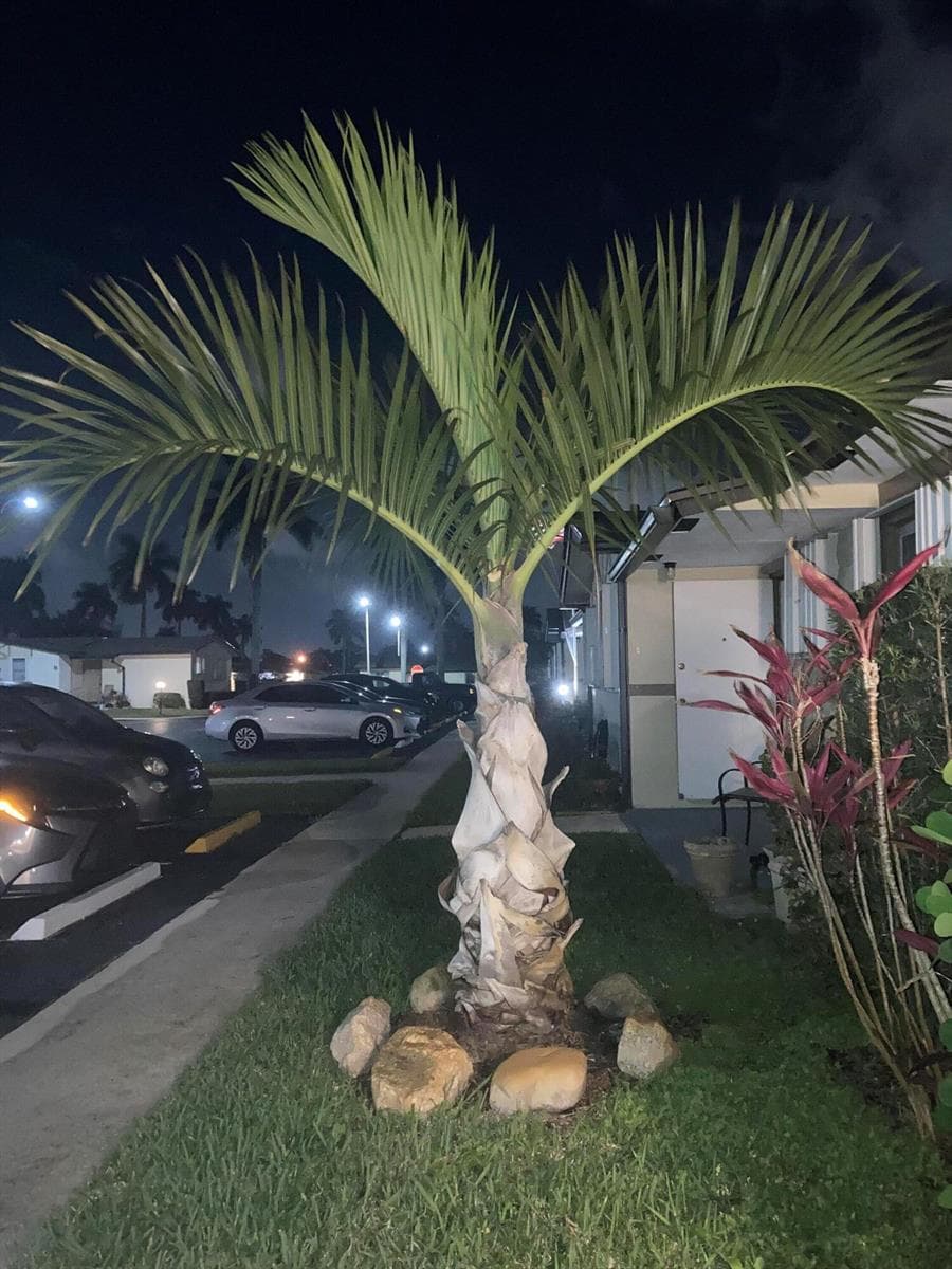 2847 Ashley Drive W # G, West Palm Beach, FL 33415 photo 5