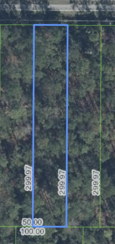 2571 Hammock Road, Sebring, FL 33872 photo 2