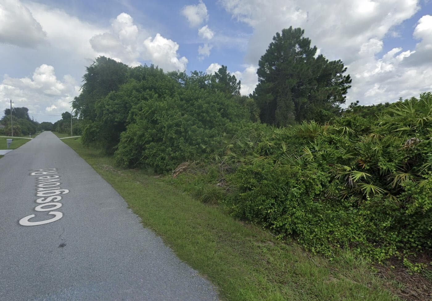 Tbd Cosgrove Road, Venice, FL 34291 photo 2