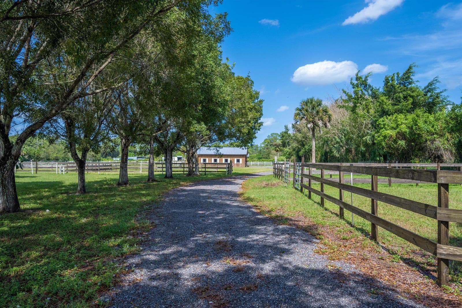 13717 E Citrus Drive, FL 33470 photo 3