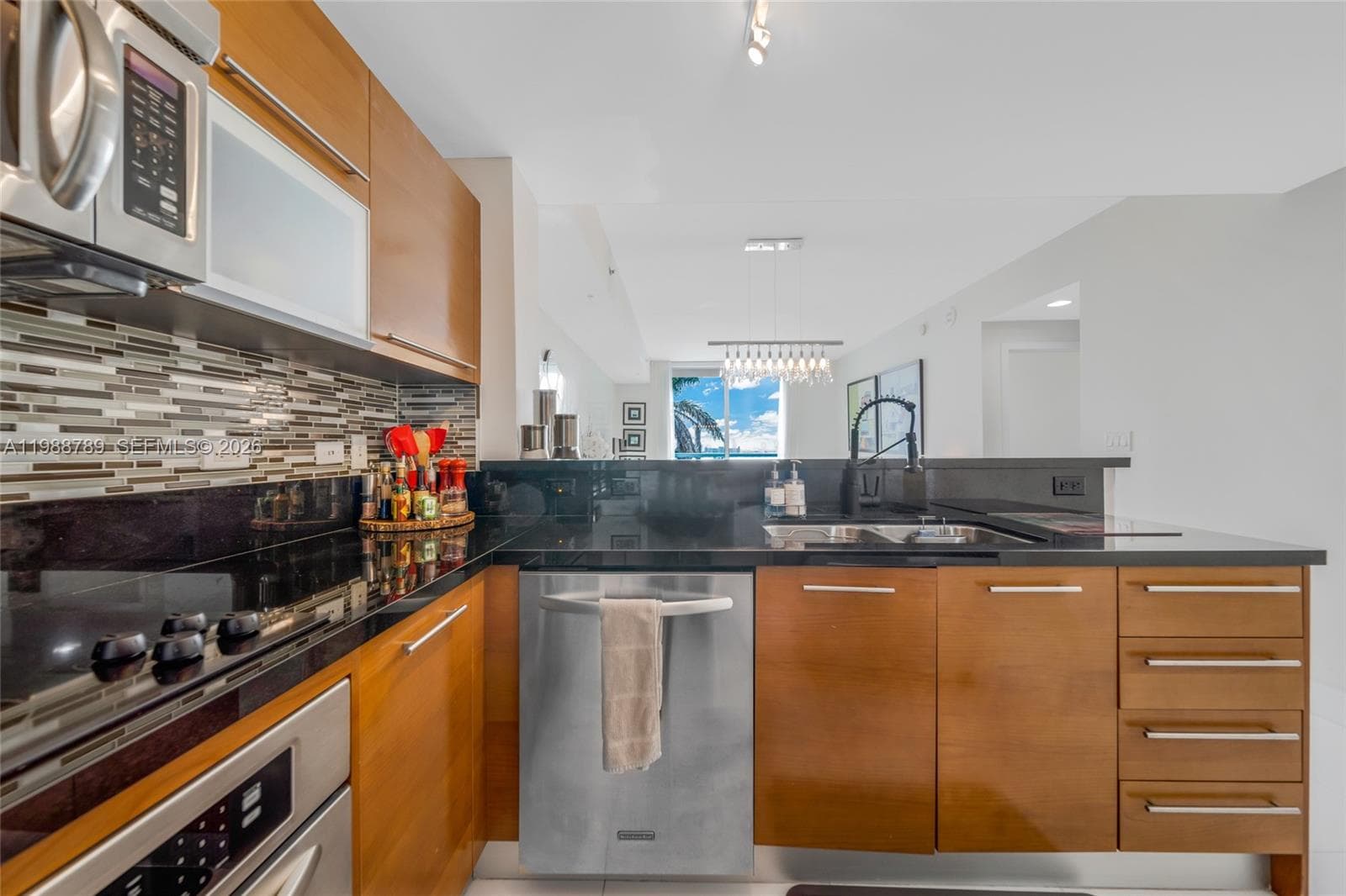253 NE 2nd St # 1109, Miami, FL 33132 photo 4