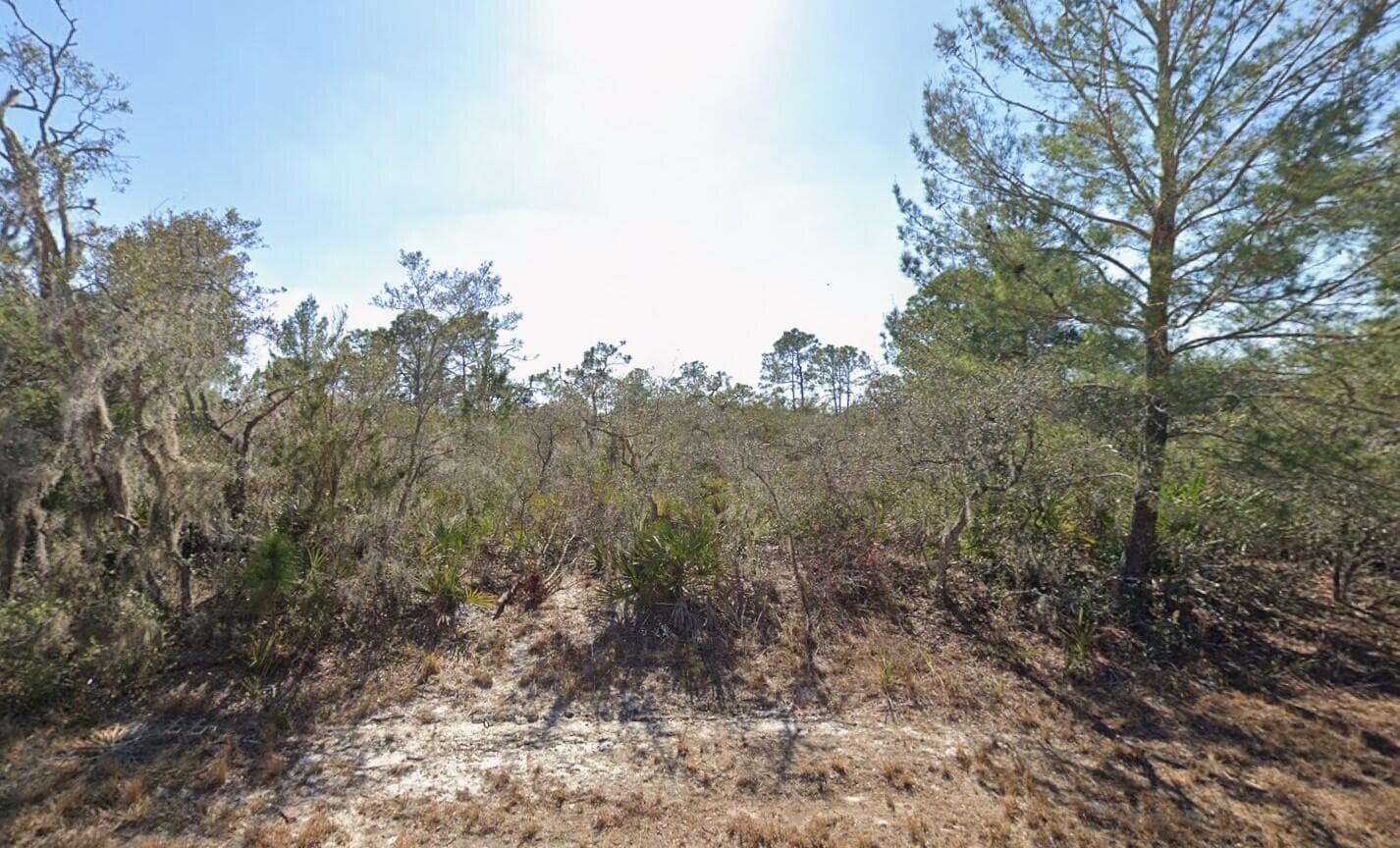 3235 N Dahlia Drive, Lake Placid, FL 33852