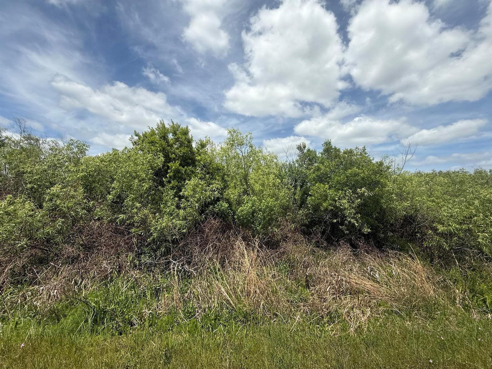 15837 NW 282nd Street, Okeechobee, FL 34972