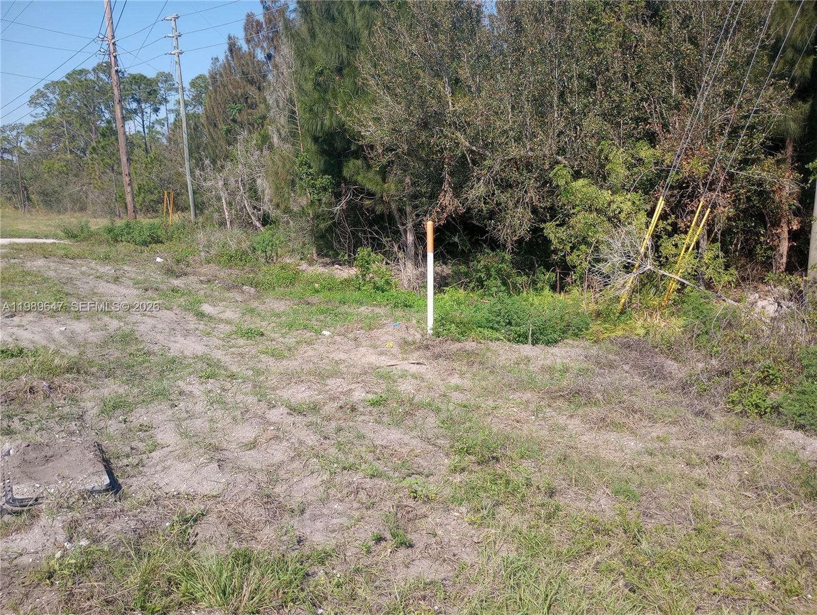 Listing