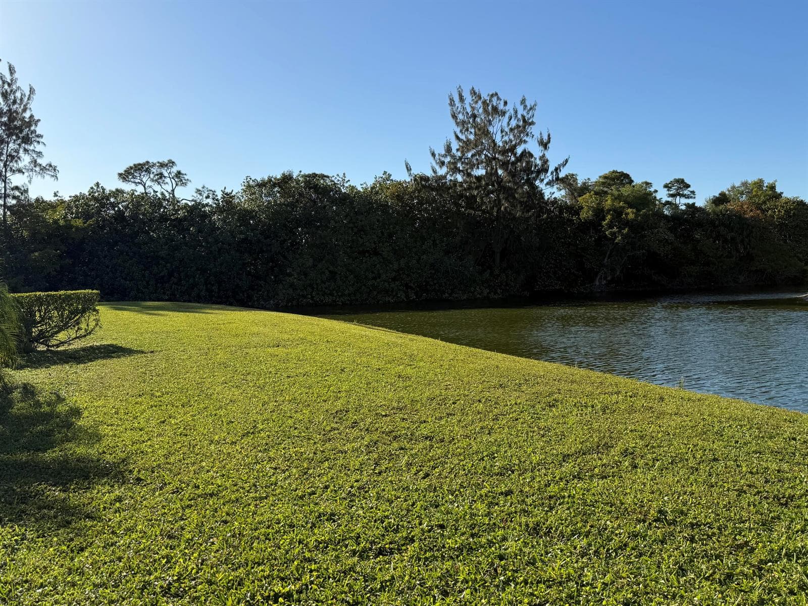 81 Camden Drive # D, West Palm Beach, FL 33417 photo 4