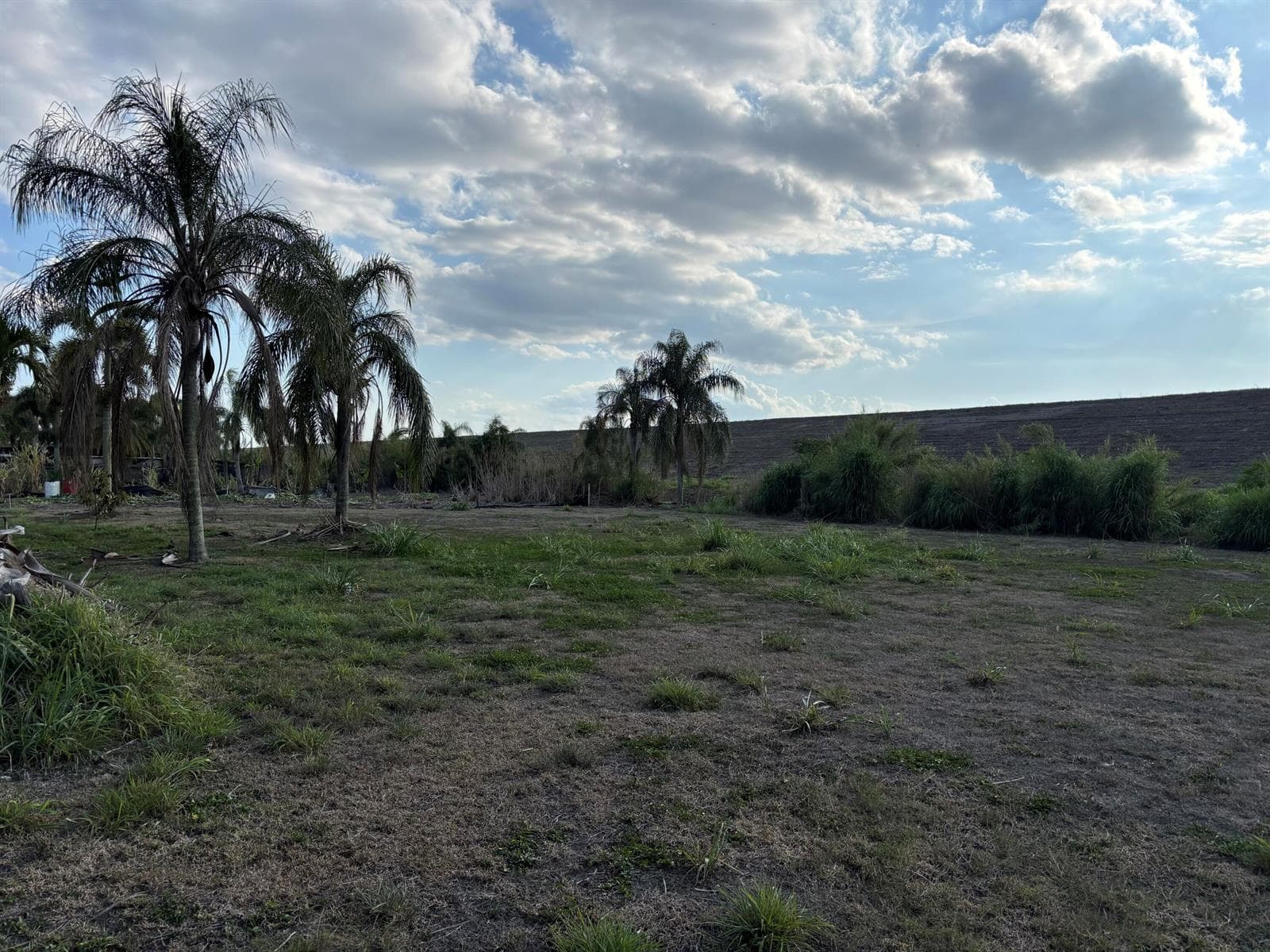 0 Airport Road, Pahokee, FL 33476 photo 4