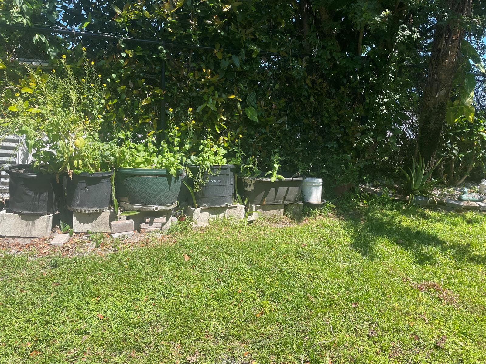804 Summit Lake Drive, West Palm Beach, FL 33406 photo 4