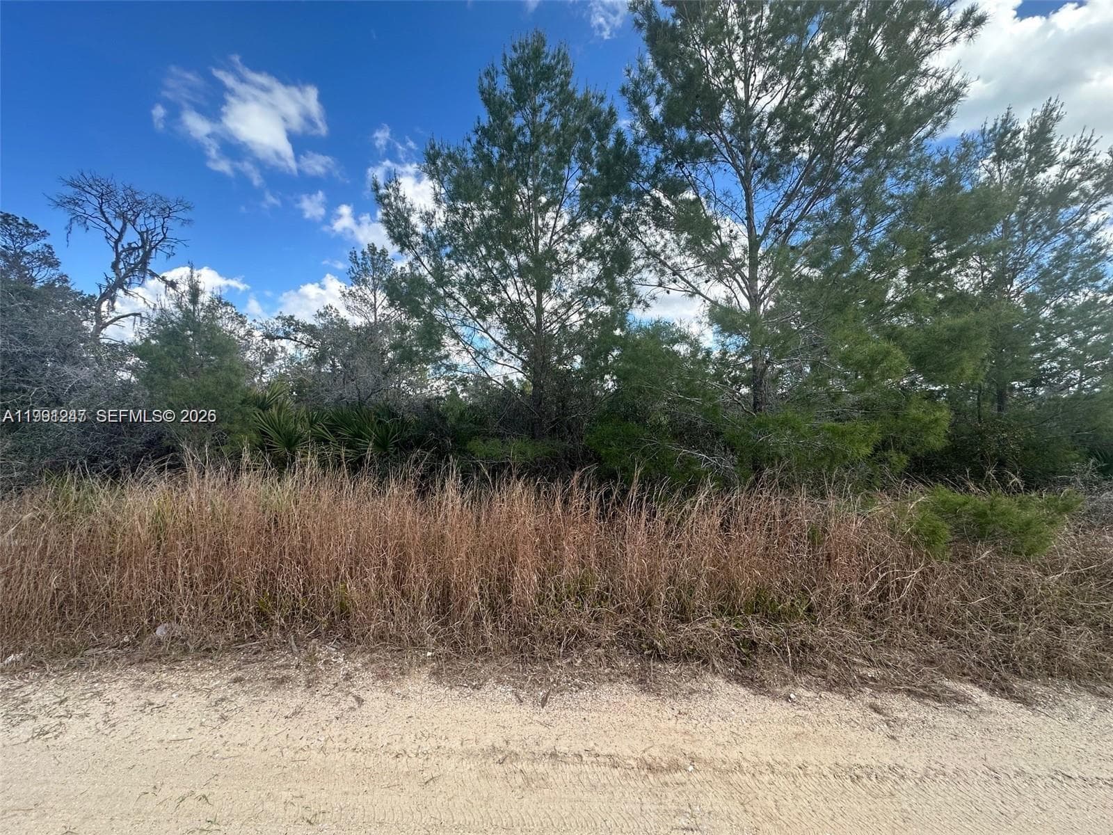 123 DARTMOOR AVE, Lake Placid, FL 33852