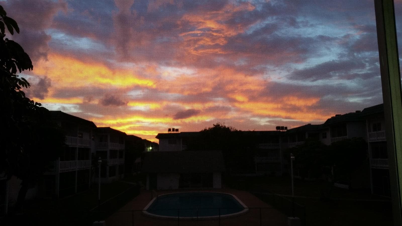 5861 NW 16th Place # 201, Sunrise, FL 33313 photo 3