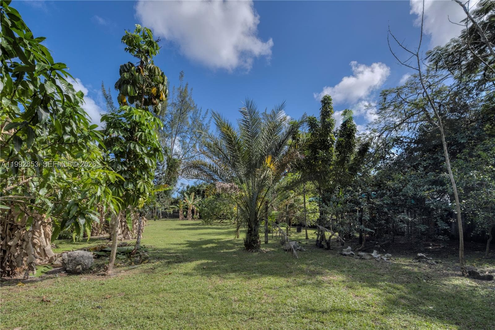 14115 NW 5th Ave # 1, Miami, FL 33168 photo 5