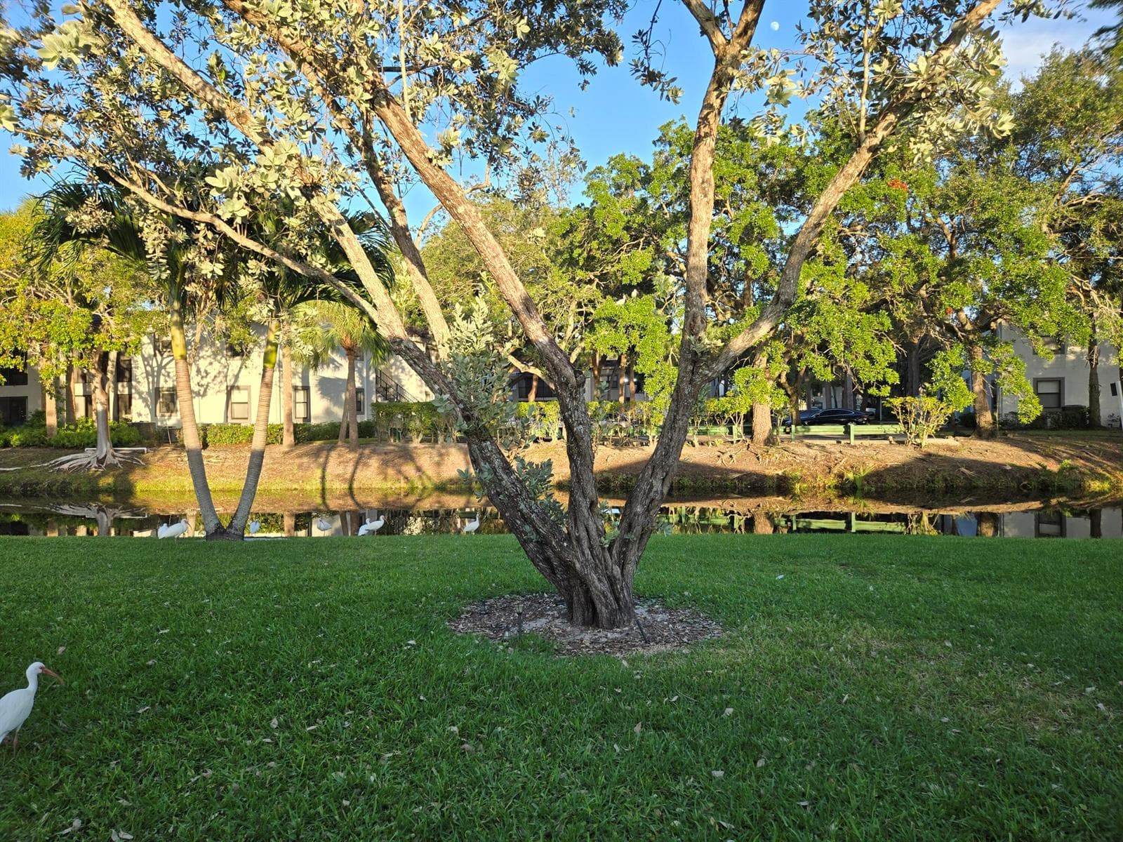 1320 NW 82nd Avenue, Plantation, FL 33322 photo 2