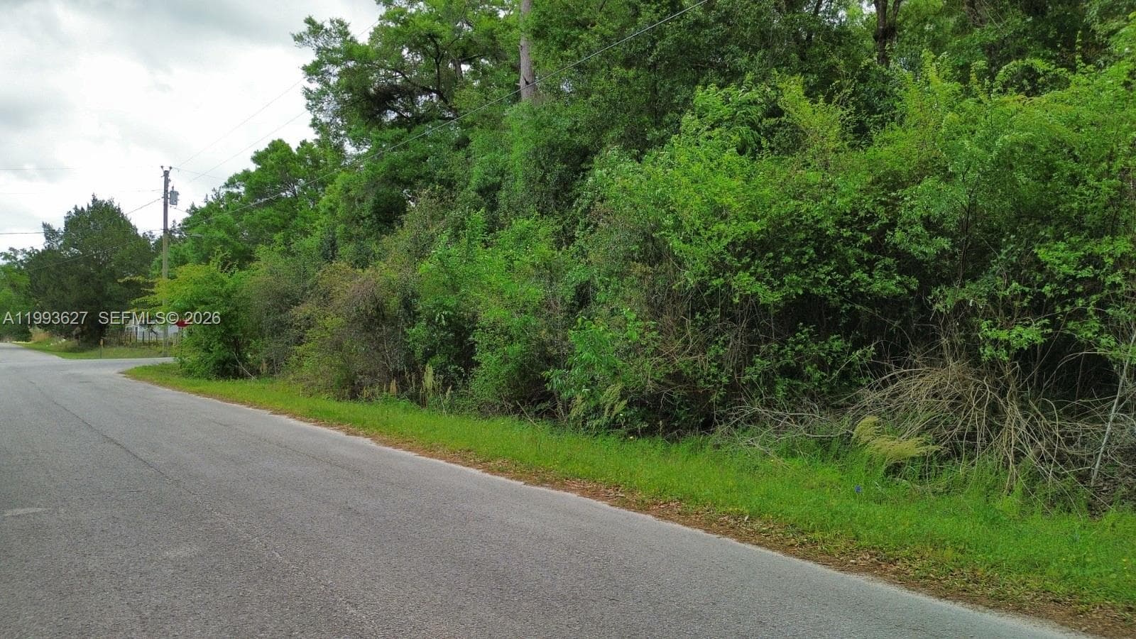 NW 114 ct, Ocala FL 34421 photo 5