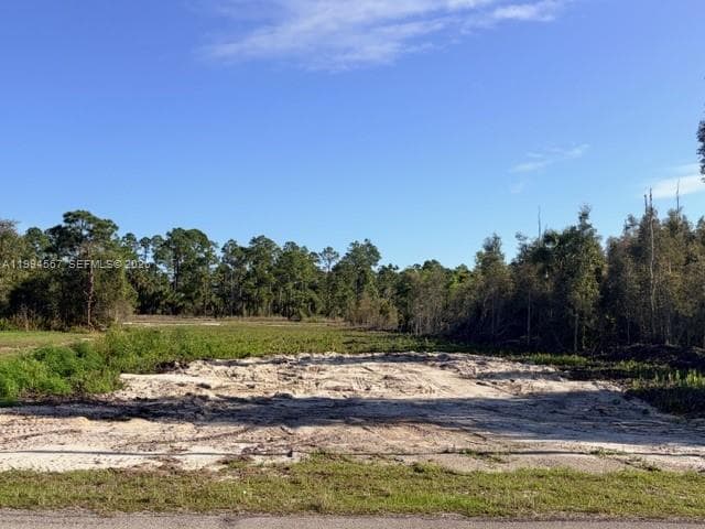 870 E Arturo St, Lehigh Acres, FL 33974 photo 2