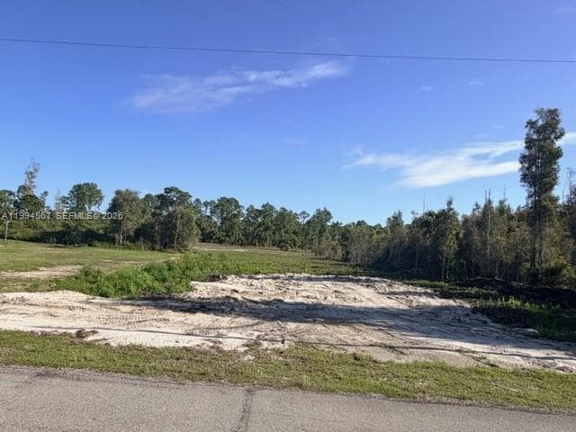 870 E Arturo St, Lehigh Acres, FL 33974 photo 5